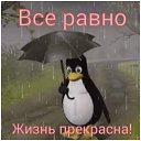 ���� ������, �������������� - ��������� 1 ���� 2017 � ������ ���� ����������