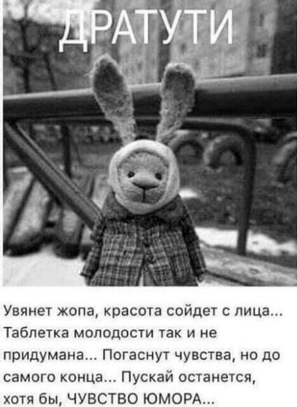 , ,  - 12  2017  13:54