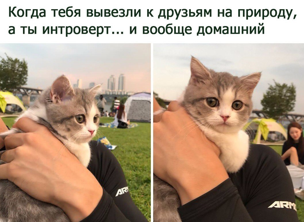 ������ �� ��� :D - 20 ������� 2017 � 03:31