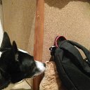 � ���� ���, ��� ����� � �������... �� ������� ���� ����������