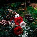  M, , 48  -  26  2017    