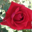 ���� Max Brodyaga, ������, 45 ��� - ��������� 29 ���� 2017 � ������ ���� ����������