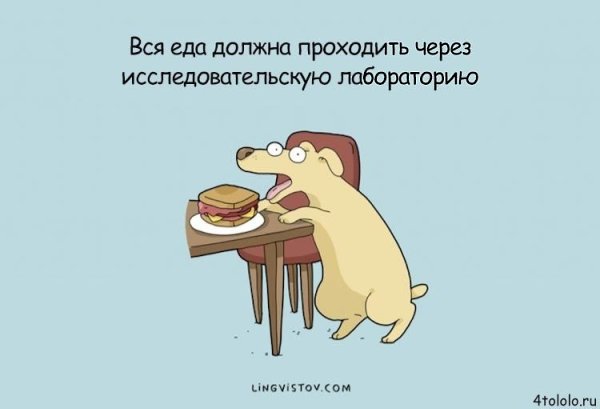 Смешные комиксы о собачьих заскоках, несмотря на которые мы всё равно их любим.#настроение@ican - 2
