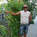 ���� ��, ���������, 46 ��� - ��������� 29 �������� 2017 � ������ ���� ����������