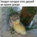 ���� �����, ������ - ��������� 3 ������� 2017 � ������ ������ ��������