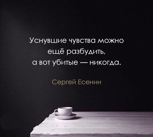  | ,  - 8  2017  22:05