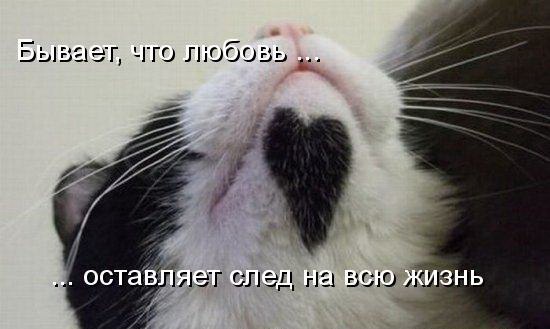       - 7  2017  17:11