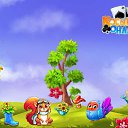 ���� ������, ������ �������� - ��������� 29 �������� 2017 � ������ �������� �������-�������