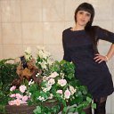 ���� ������, ������ ��������, 38 ��� - ��������� 14 �������� 2017