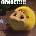 ���� ������, ����, 43 ���� - ��������� 27 ��� 2017