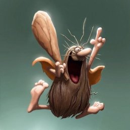 ���� Pest, �������, 35 ��� - ��������� 24 ������� 2017