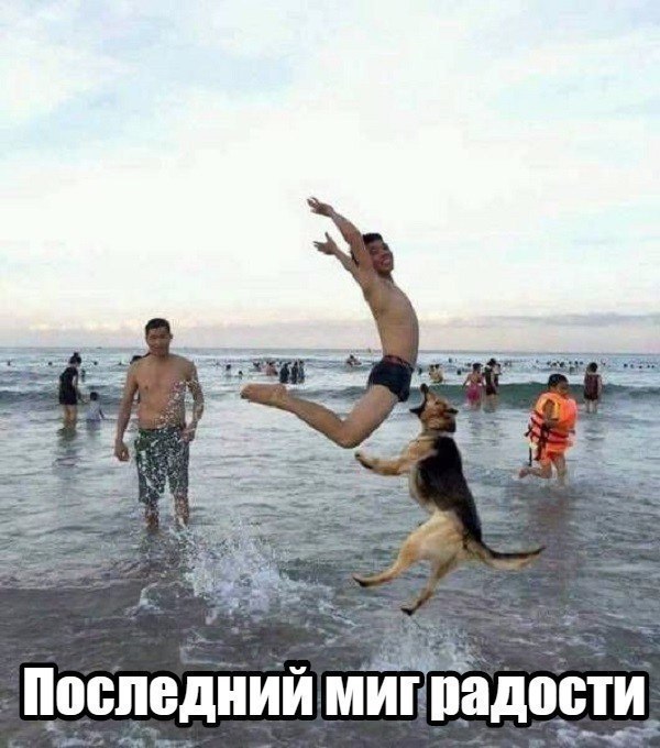    :D - 3  2017  00:05