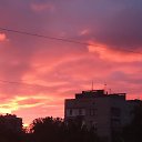  , -, 68  -  11  2017   ...  ,   )))))