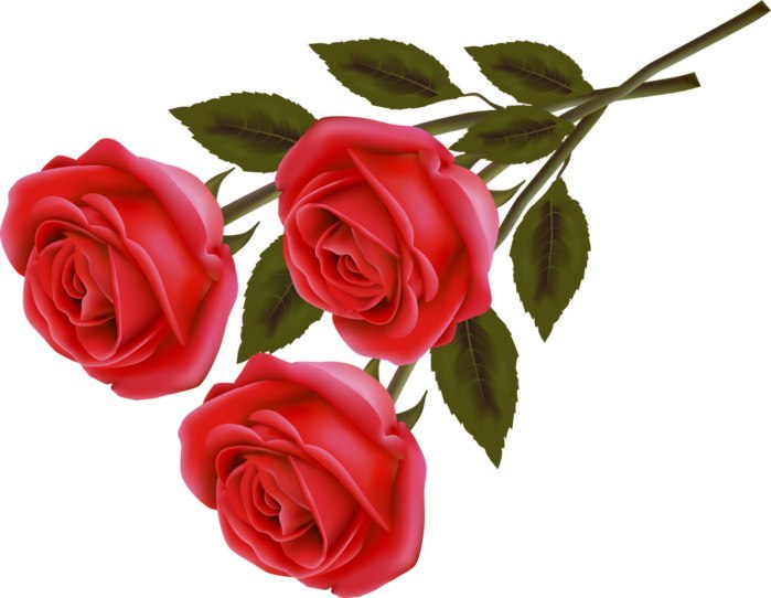  - 9  2017  17:48 - 3