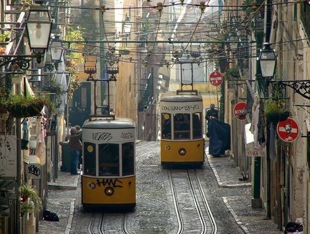  :  ,   ,     ,  , ... - 2