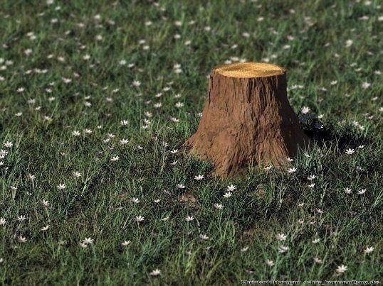 Как удалить пень дерева.После спиливания дерева остается пень, который, как правило, портит вид ...