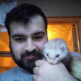 �����, ����������