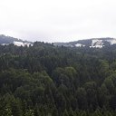 ���� Selim, �����, 46 ��� - ��������� 20 ���� 2017 � ������ �gori uludag�