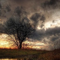 �������, ������, 25 ���