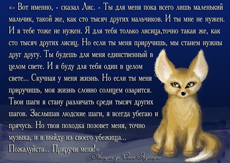 =Fox= - 27  2017  15:08