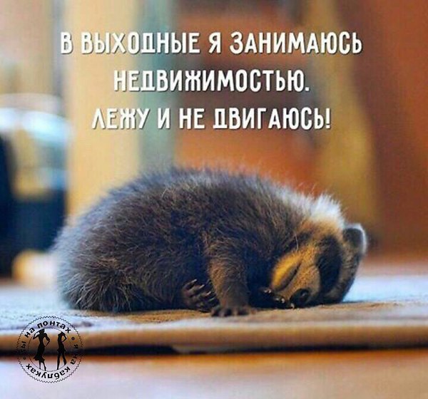  - 3  2017  14:02