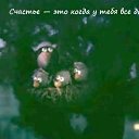 ���� Valeriy, ������, 54 ���� - ��������� 23 ������� 2017 � ������ �������