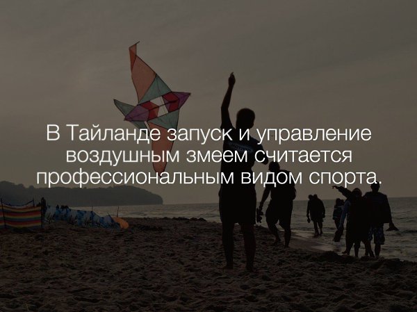   :    - 7  2017  15:50