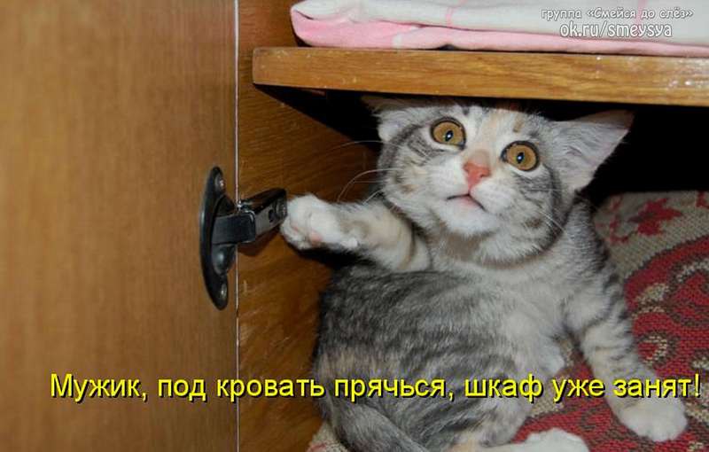 ,     .   ... - 18