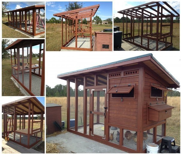 ���� ���������