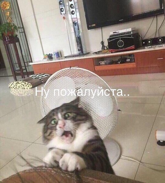  - 8  2017  18:02 - 4