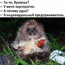 ���� �����, �������, 53 ���� - ��������� 26 �������� 2017 � ������ ������ ��������