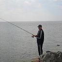 ���� ��������, �����������, 54 ���� - ��������� 17 ��� 2017 � ������ ���� ����������