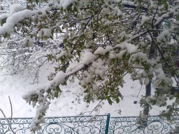 ��� � ������ ����!!! �������??? - 2