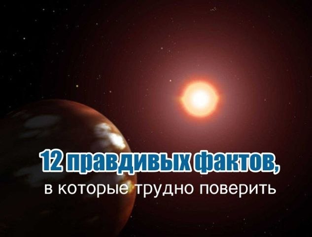 12 правдивых фактов, в которые трудно поверить.1) Количество смертных случаев на боксёрском ринге ...