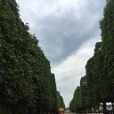 ���� ����, ���, 58 ��� - ��������� 23 ���� 2017 � ������ ���� ����������