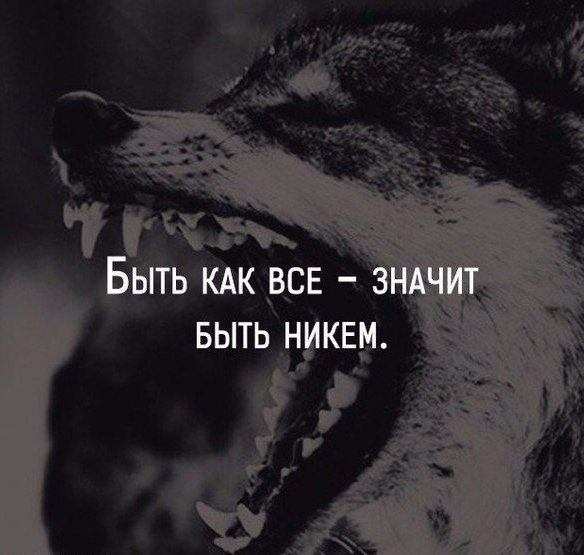 SportFeed - 23  2017  22:12