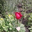 ���� Wiktor, ������ ��� - ��������� 20 ������� 2017 � ������ ���� �����