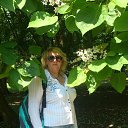 ���� �����, ����, 51 ��� - ��������� 4 ���� 2017 � ������ ���� ����������