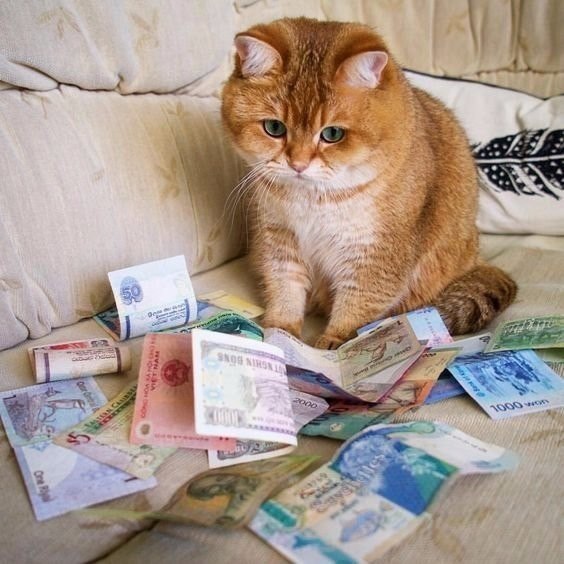 Сижу, думаю, где бы мне отдохнуть… Подсчитала деньги — поняла, что не устала…)