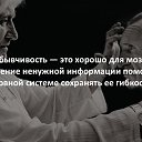 ���� ��������, ����� - ��������� 6 ��� 2017 � ������ ������ ��������