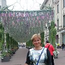  ,  , 58  -  24  2017    