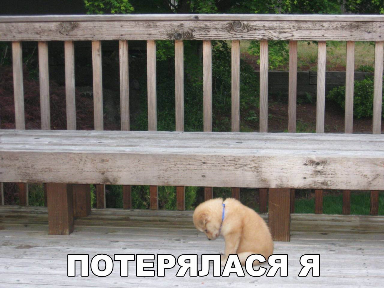    :D - 29  2017  05:33