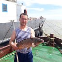 ���� ������, �������������-����������, 46 ��� - ��������� 3 ���� 2017 � ������ ���� ����������