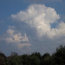 ���� ����, ������, 77 ��� - ��������� 24 �������� 2017 � ������ ���� ����������