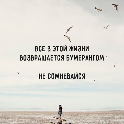 IQ Blog: , , ,  - 20  2017  18:31