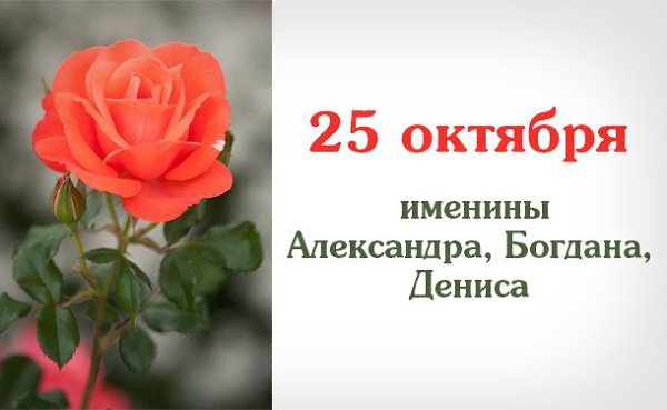 Lara - 25  2017  06:44