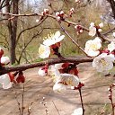���� Olezhka***, ����, 65 ��� - ��������� 7 ��� 2017 � ������ ���������� ������