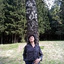 ���� �����, ����-�������, 59 ��� - ��������� 15 ��� 2017 � ������ ���� ����������