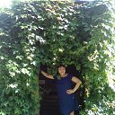 ���� ������, ������ - ��������� 18 ������� 2017 � ������ ���� ����������