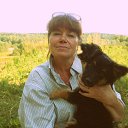 ���� �������, ��������� - ��������� 7 ������� 2017 � ������ ���� ����������